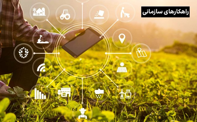 با نقش فناوری اینترنت اشیا (IoT) در کشاورزی هوشمند آشنا شوید