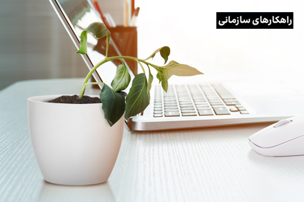 رفتارهای سمی در محیط کار ، با این ترفندها سلامت روان خود را بیمه کنید!