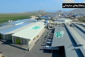 تجربه گروه تولیدی عالیس